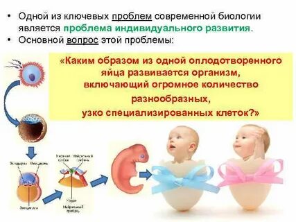 Проблемы индивидуального развития