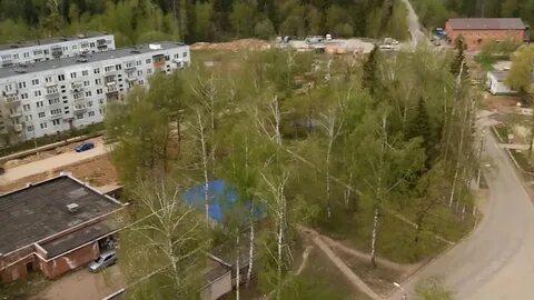 Погода пушкинском районе софрина