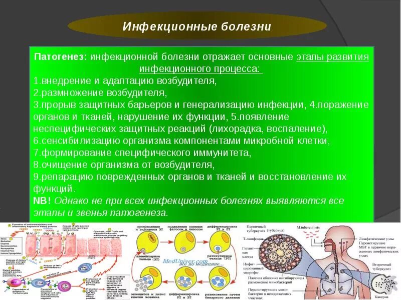 Процессы болезни человека. Механизм развития инфекционного процесса. Патогенез при инфекционных болезнях. Этиология инфекционных заболеваний. Механизм развития инфекционных заболеваний.