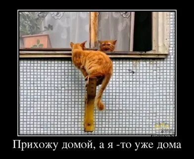 Приходи скорей домой