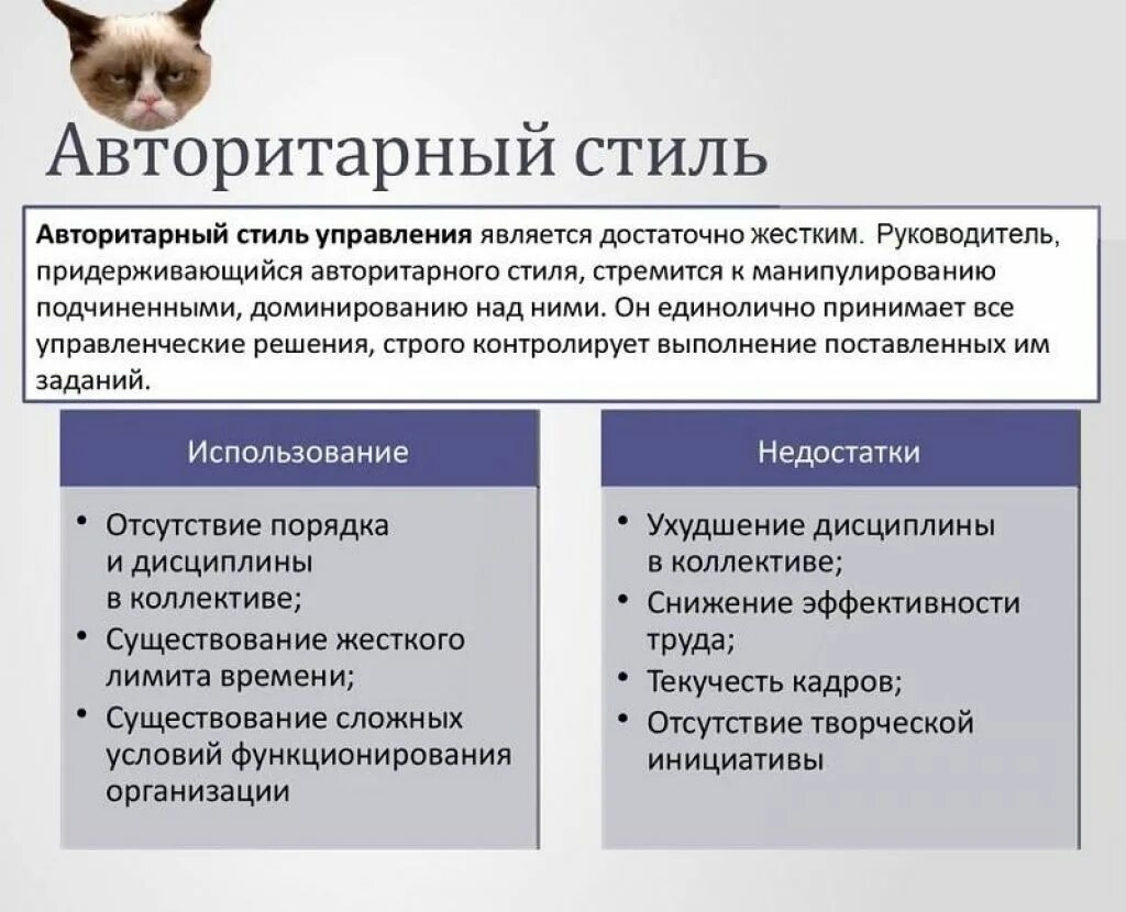 Плюсы и минусы стиля управления. Авторитарный стиль управления плюсы и минусы. авторитетный стиль управления плюсы и минусы. минусы авторитарного стиля управления. плюсы авторитарного стиля управления.