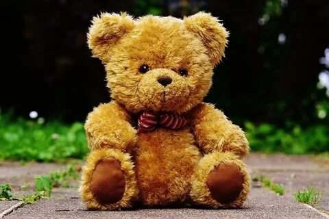 Sam is a teddy bear