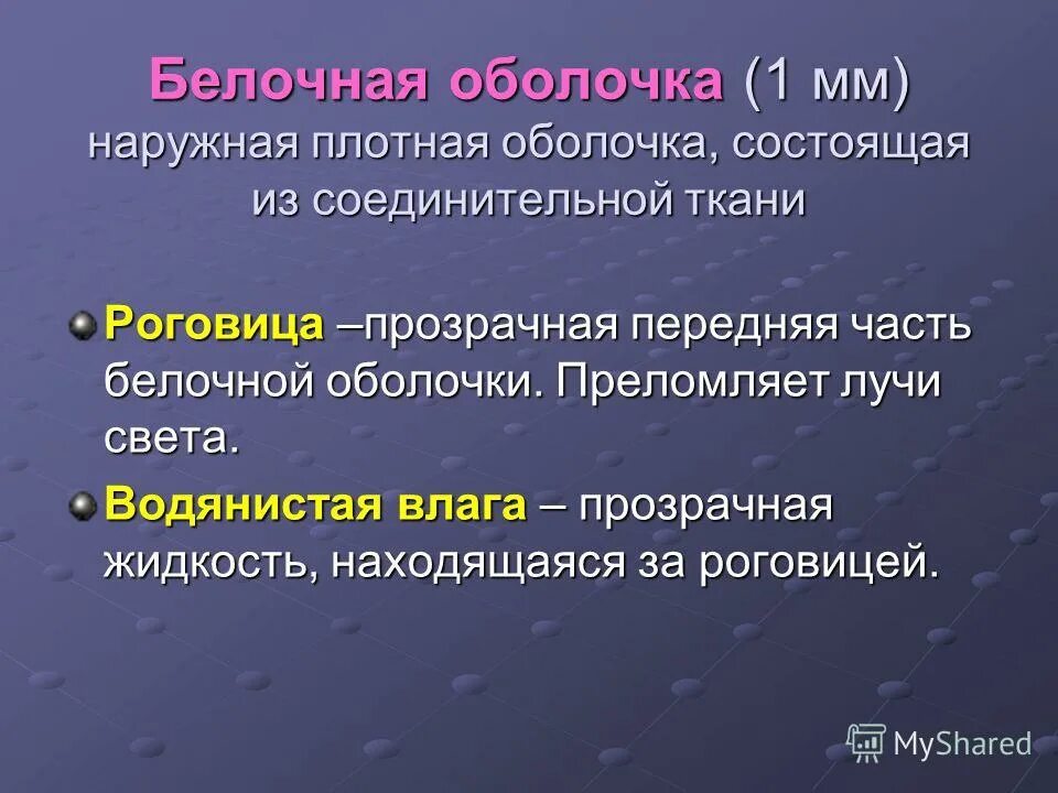 Белочная оболочка функции. Белосная оболочкаглаза. Белочная оболочка функции. Белочная оболочка глаза строение и функции. Белочная оболочка функции.