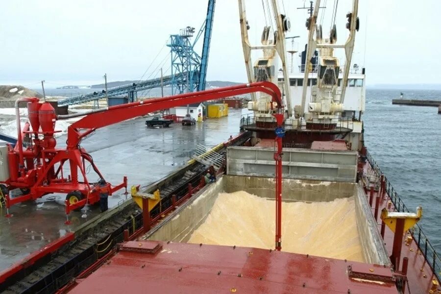 Погрузка пшеницы в порту. Погрузка зерна на корабль. Погрузка зерна на судно. Погрузка зерна. Перегрузка зерна.
