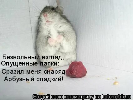 Опущенной лапкой