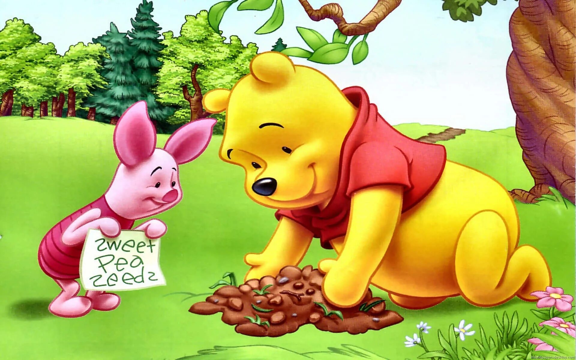 Какие приключения происходили с винни пухом. Винни-пух. Винни пух Winnie the Pooh. Винни пух и Пятачок Дисней.