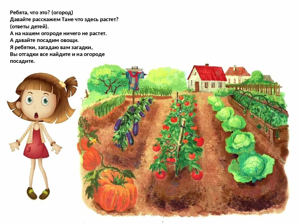 Текст летом у нас на грядках появились. Огород для детей. Огород грядки с овощами. Огород с грядками для детей. Огород рисунок для детей.