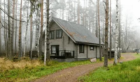 Майнила отзывы