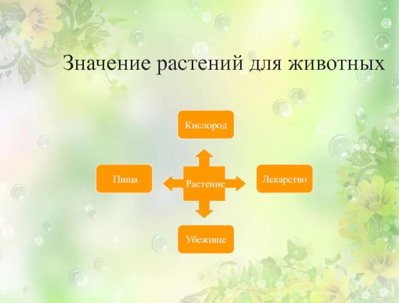 Выберите значение растений в природе. Значение растений для животных. Значение растений. Значение растений для человека. Значение растений для животных и человека.