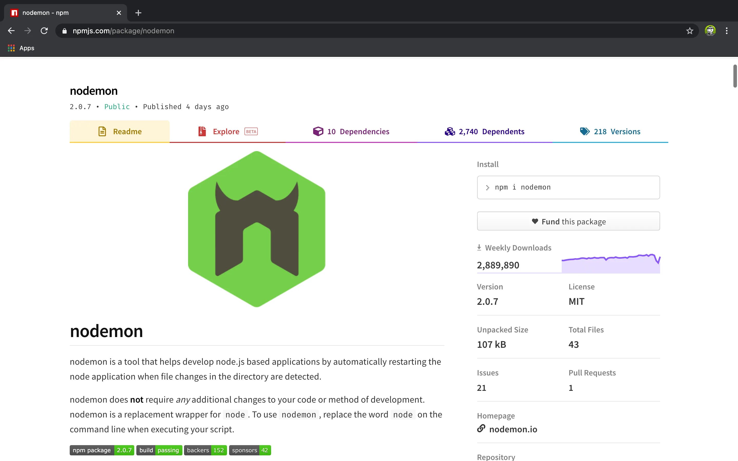 Node js npm install