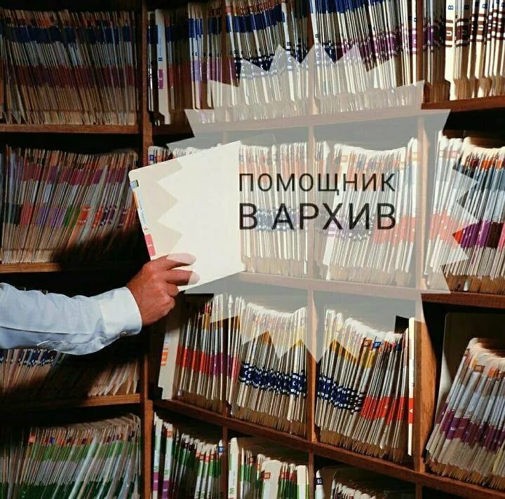 Вакансия помощник архивариуса. Кадровое делопроизводство. Человек в архиве. Архив профессии работников. Секретарь в архиве.