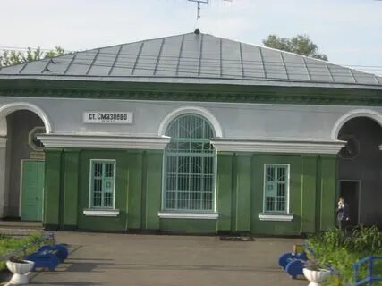Заринск голуха электричка