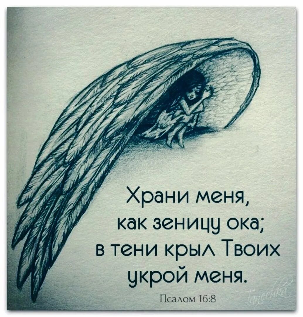 Хранить как зеницу ока значение. В тени крыл твоих укрой меня. хранить как зиника ока. храни меня как зеницу ока. храни меня как зеницу ока в тени крыл твоих укрой.