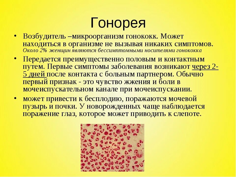 Лечение венерологических заболеваний. Гонорея возбудитель инфекции. Гонококки возбудитель заболевания.