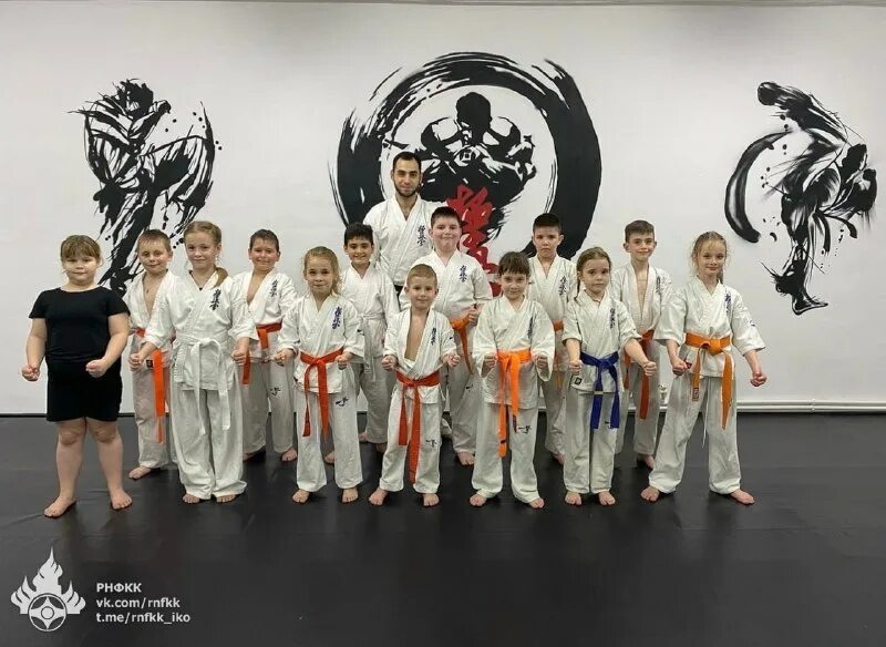 общественные организации каратэ