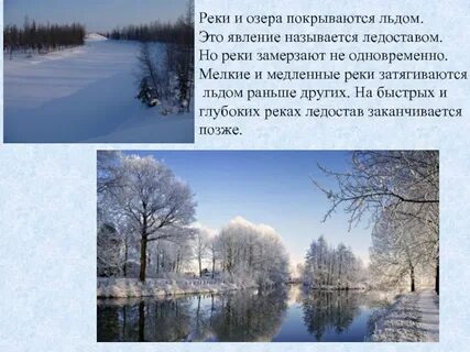 Почему под толстым льдом не замерзает