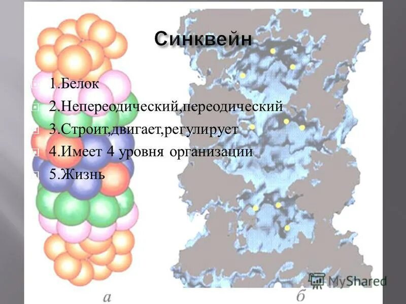 Составить синквейн по теме «белки». Синквейн белка. Синквейн на тему амины. Синквейн по теме белки. Синквейн загадка.