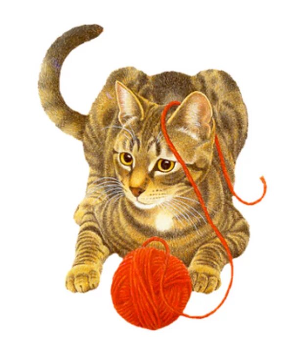 Анимашка кот. Кошка с клубком. кот клубочком. котик с клубочками. кошка анимация.