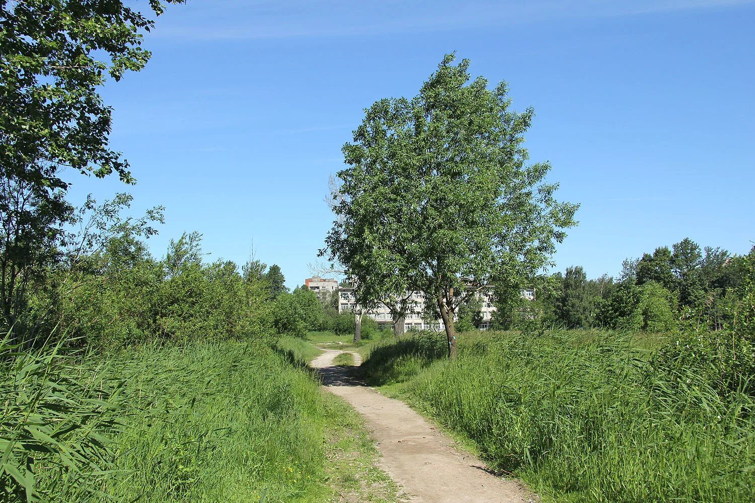 молдавия поселок купчино. деревня купчино. деревня купчино. молдавия поселок купчино. фотографии деревни купчино.