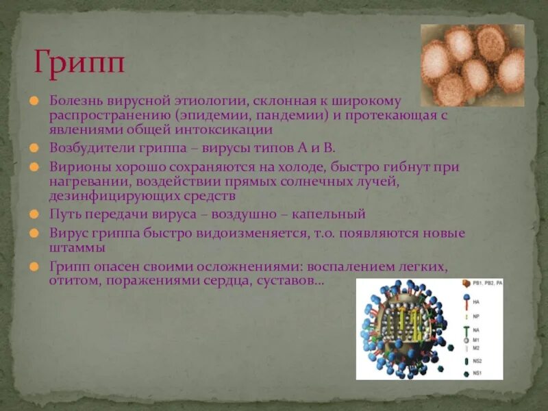 Сообщение о любом вирусе. Вирусные заболевания презентация. сообщение о вирусном заболевании. презентация вирусы и вирусные заболевания. доклад про болезнь грипп.