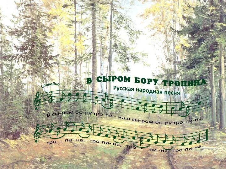Песня в сыром бору тропина. В сыром бору тропина. В сыром бору тропина текст. Во сыром бору. Во сыром бору.
