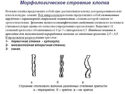 Длина хлопкового волокна