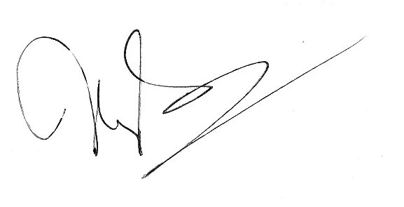 Подпись ген директора. Подпись Агеев. Подпись генеральног одиректроа. Подпись генерального директора. Подпись Анисимов.