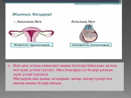 Гвен Стейси актриса порно видео көреді