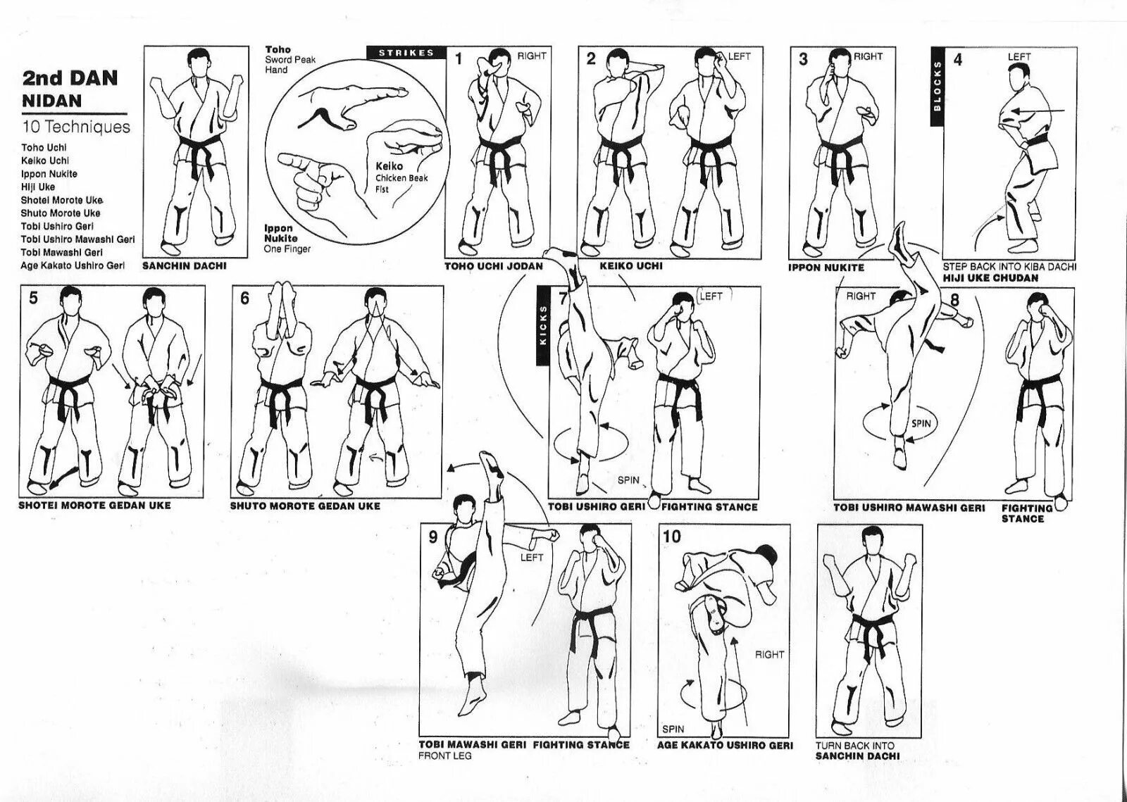 10кю каратэ