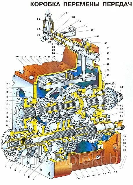 Трактор коробка мтз 80. Коробка МТЗ 82.1. Коробка переключения МТЗ 80. Коробка передач трактора МТЗ 80. Коробка трактора МТЗ 82.