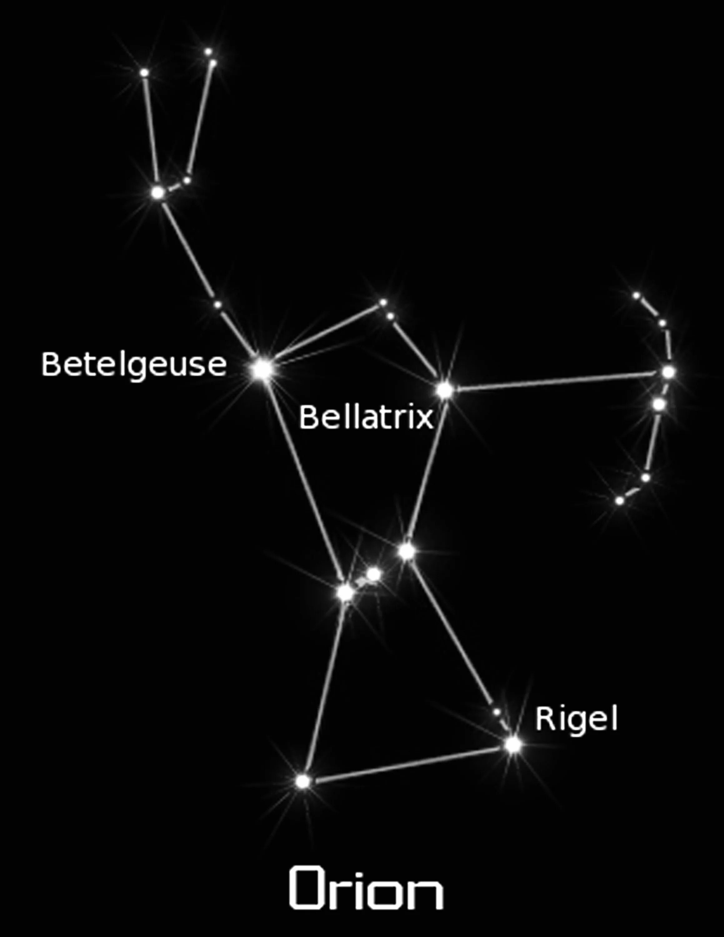 Орион ригель. Беллатрикс в созвездии Ориона. Созвездие Ортон звезда ригель. Бетельгейзе ригель Беллатрикс в созвездии Ориона. Беллатрикс звезда в созвездии Ориона.