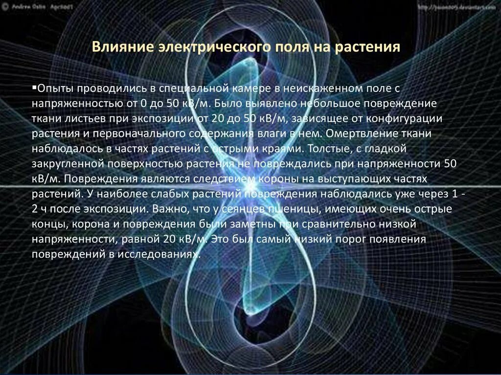 Магнитное поле и живые организмы. Воздействие электромагнитного излучения на растения. Воздействие электромагнитных полей на организм человека. Влияние электрического поля. Влияние магнитного поля на живые организмы.