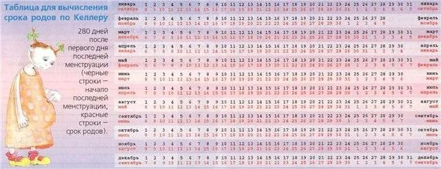Срок беременности по месячным. Календарь беременности по неделям. Таблица определения даты родов. Календарь беременности по неделям рассчитать. Беременность по неделям рассчитать срок родов.