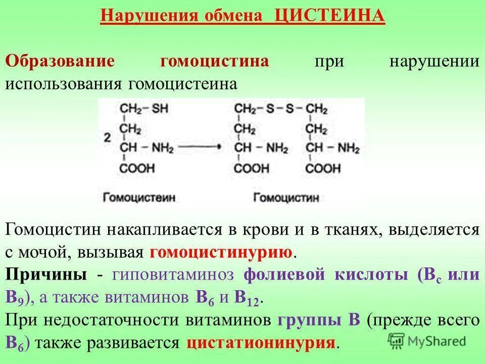 Гомоцистеин биохимия. Гомоцистеин. Нарушение обмена цистеина. Гомоцистеин норма. Гомоцистеин образование.