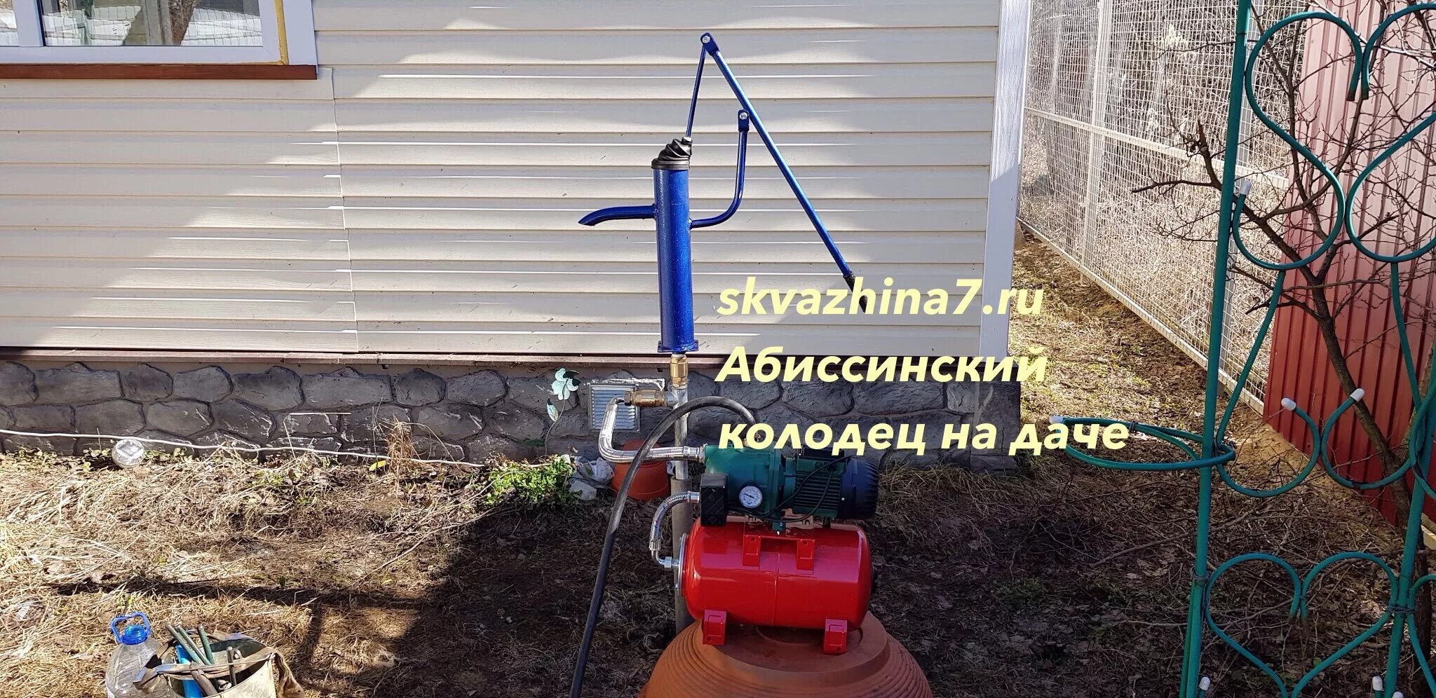 Как прокачать абиссинскую
