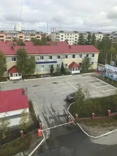 Сад 3 полярный