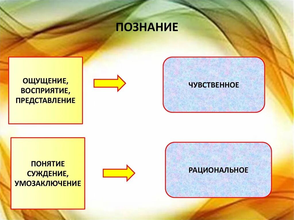 Представление роль в жизни человека. Ощущение восприятие суждение понятие представление. Ощущение восприятие представление. Ощущение восприятие представление понятие суждение умозаключение. Ощущение умозаключение восприятие представление.