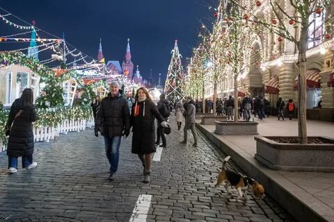Новогодние праздники в краснодарском крае