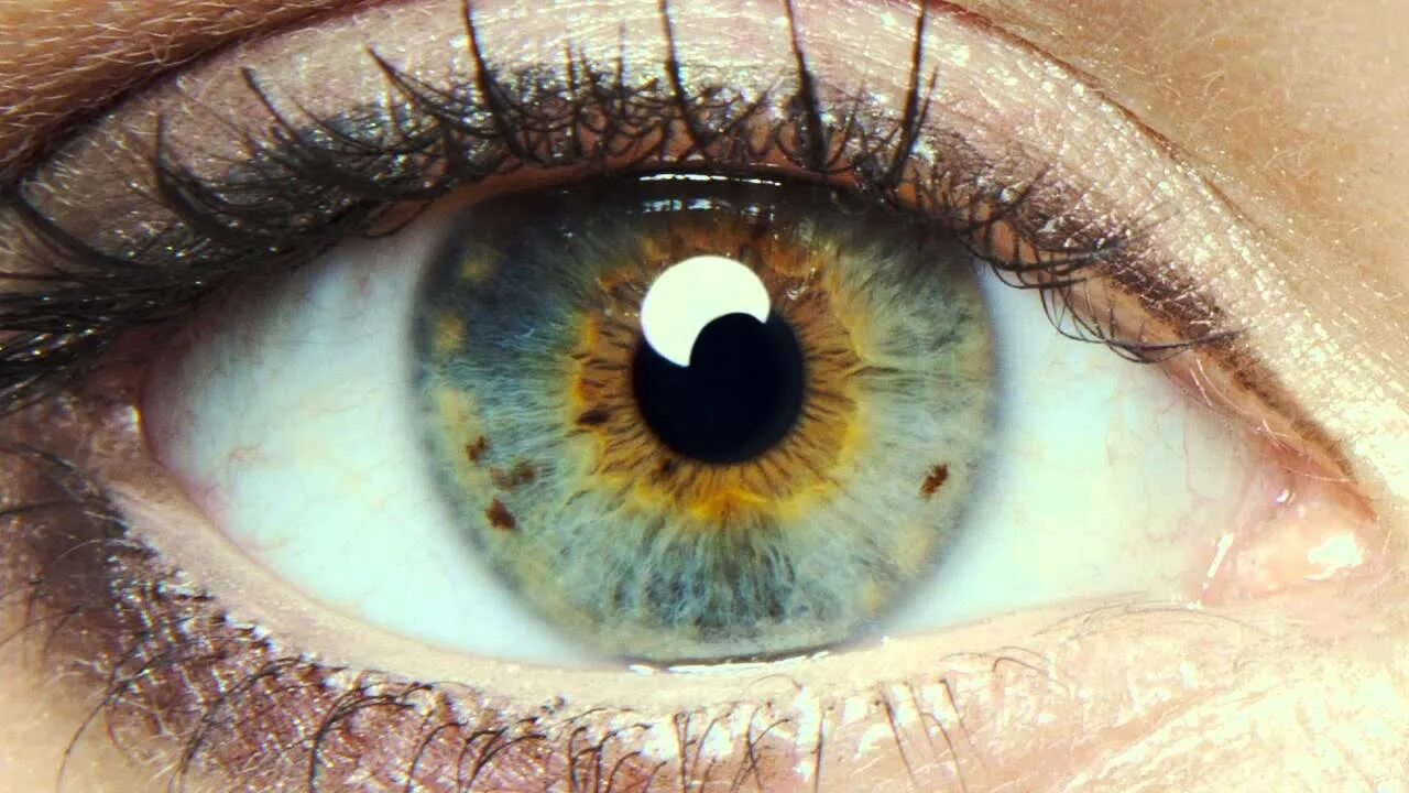 Mia. Зелено янтарные глаза. Фильм я начало глаза. Сара вайсгласс. Hateful.