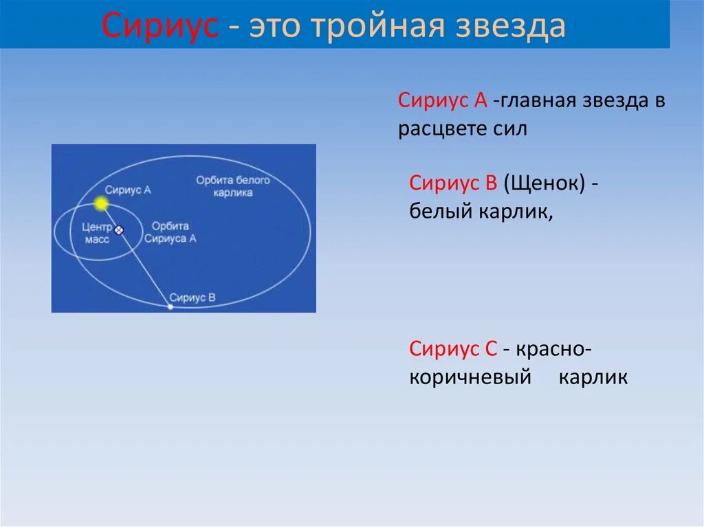 Сириус страны участники. Сириус. Сириус презентация. Сириус звезда. Сирус.