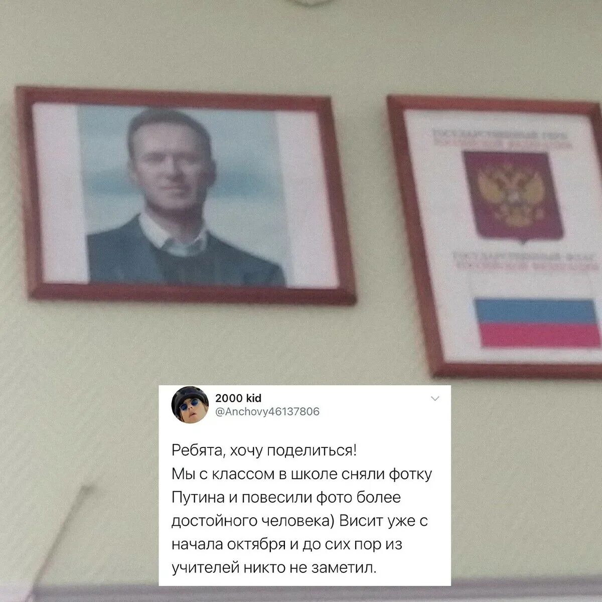 В школе повесили