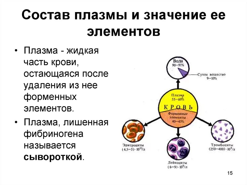 Строение плазмы крови. Что такое плазма крови? Состав плазмы.. Функции плазмы крови физиология. Составные части плазмы.