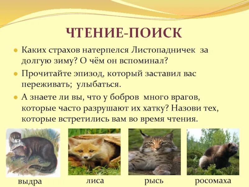 Статья о листопадничках в энциклопедии. Информация про зайчика. Листопадничек презентация. Осенние зайчата листопаднички информация. Осенние зайчата листопаднички информация.