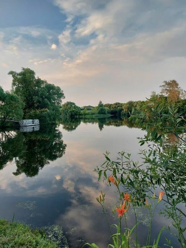 зеленой сетью трав подернут спящий пруд