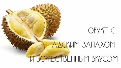 Запах дуриана