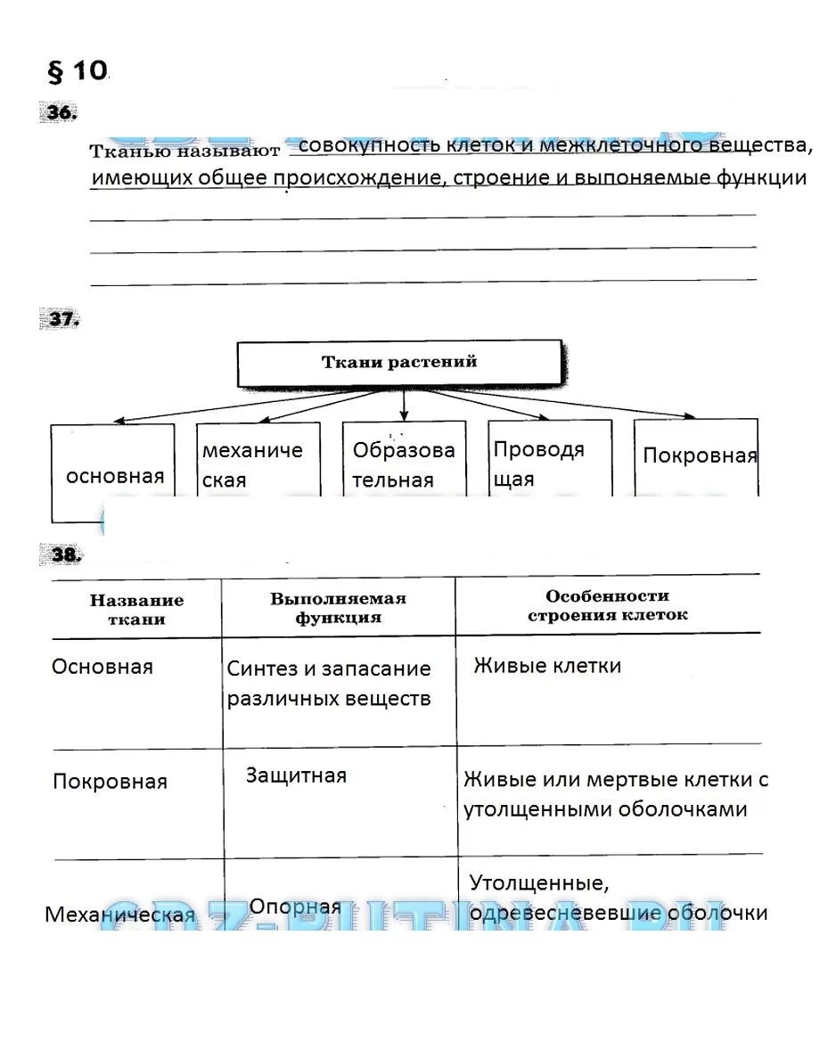 Биология пятый класс пасечник