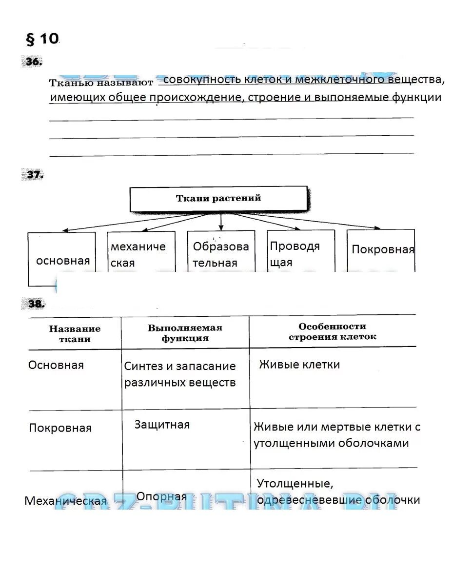 Таблица ткани 5 класс биология растений учебник Пасечник. Биология 5 класс учебник Пасечник таблица. Биология 5 класс в таблицах и схемах Пасечник. Биология 5 класс Пасечник параграф 2. П 17 биология 5 класс