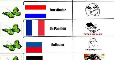 Бабочка на немецком