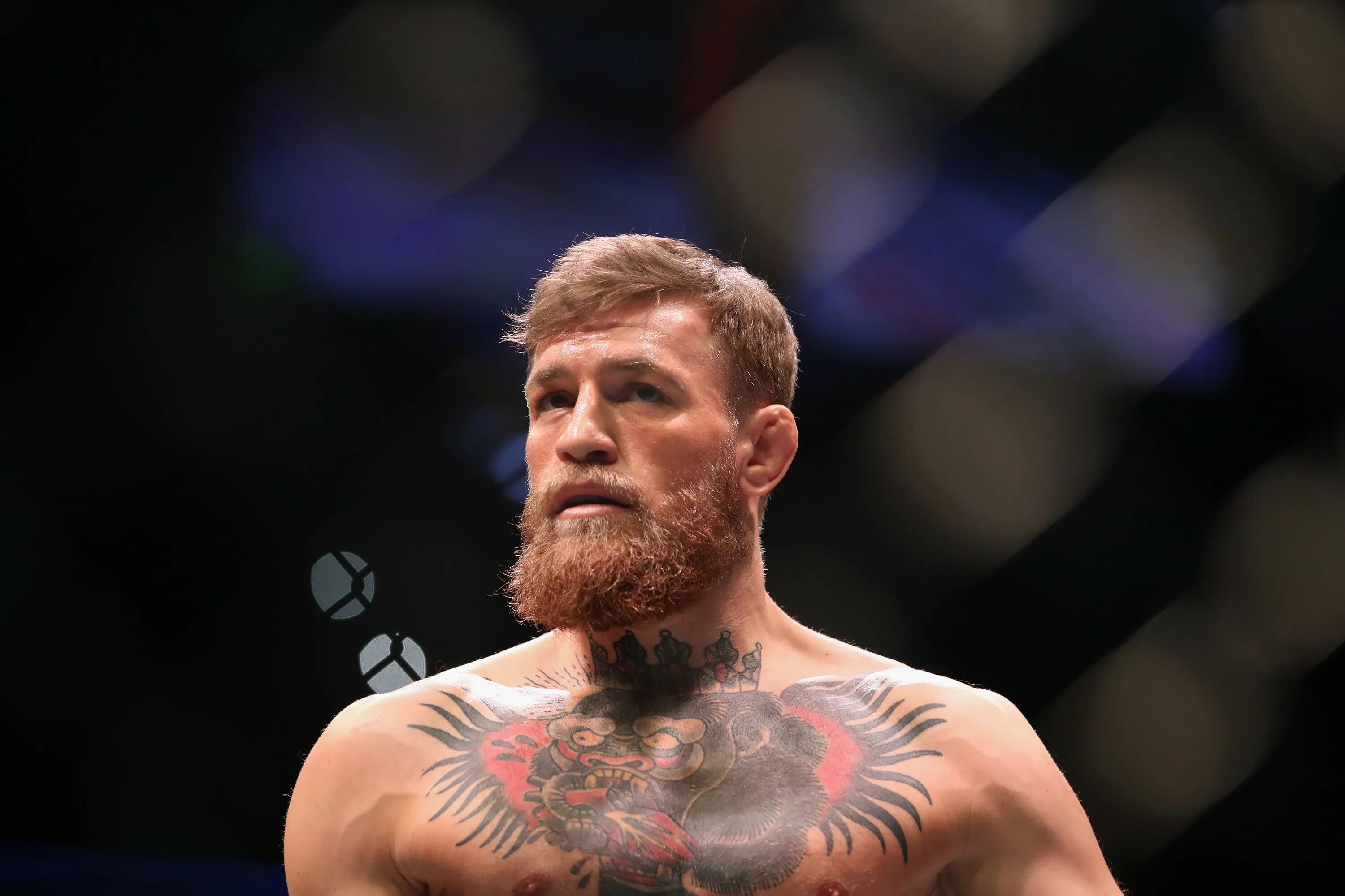 Конор лох. Макгрегор коннор 2022. Конор макнил. Конор макгрегор 2021. Макгрегор сейчас 2022.