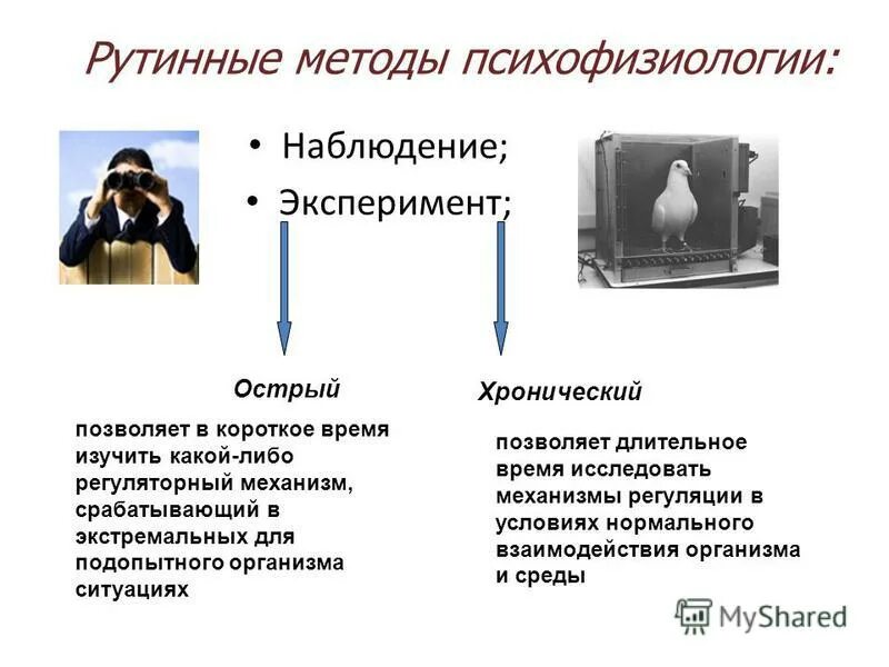 Эмпирические методы исследования. Методы исследования. Метод обследования физиология. Метод психологического исследования беседа. Метод исследования какие бывают.